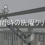 梅雨時の洗濯クリップ